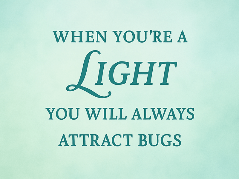 When You’re a Light You Will Always Attract&nbsp;Bugs